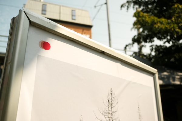 Change - Forandring - exhibition