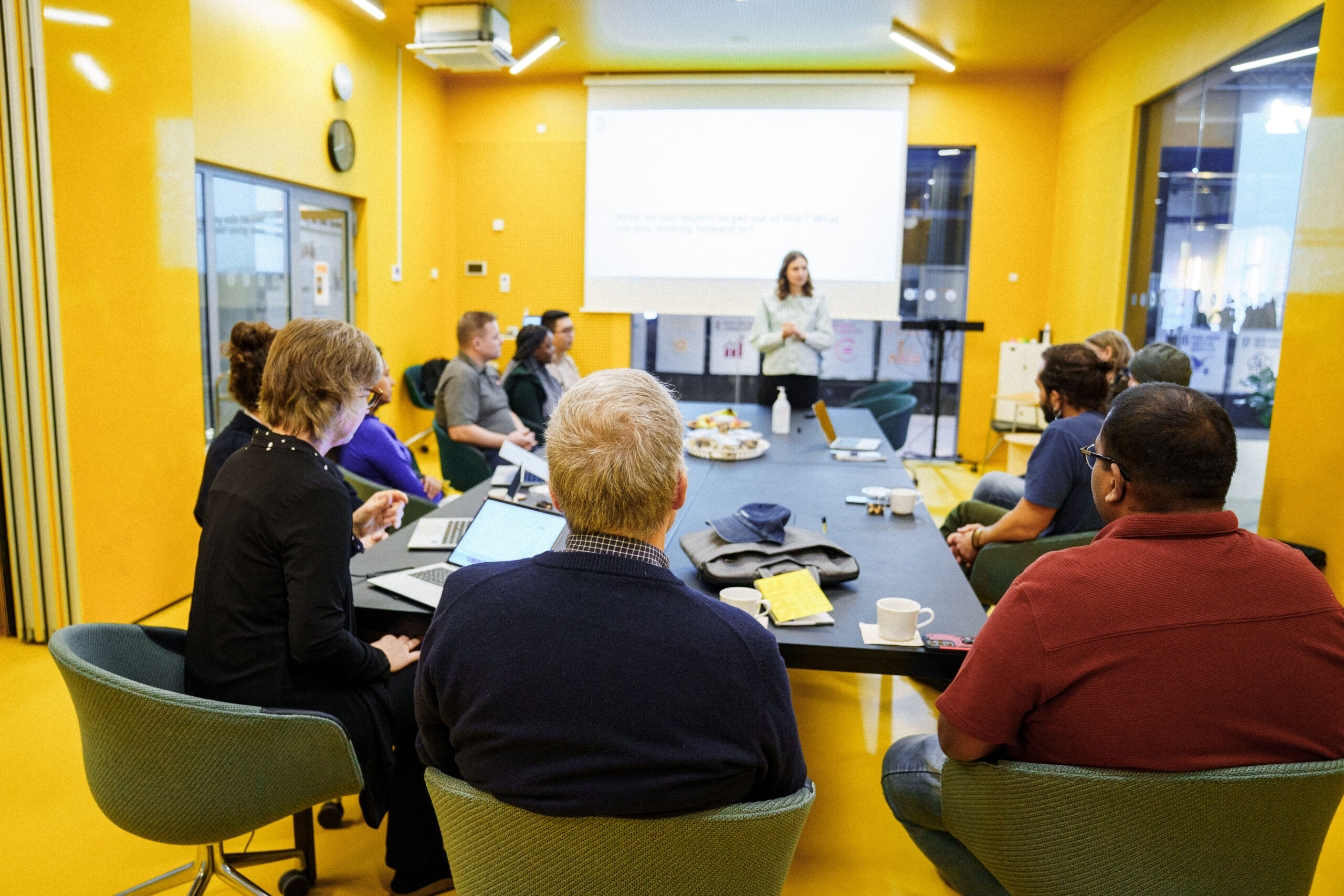 Technical University of Denmark - DTU Earthbound