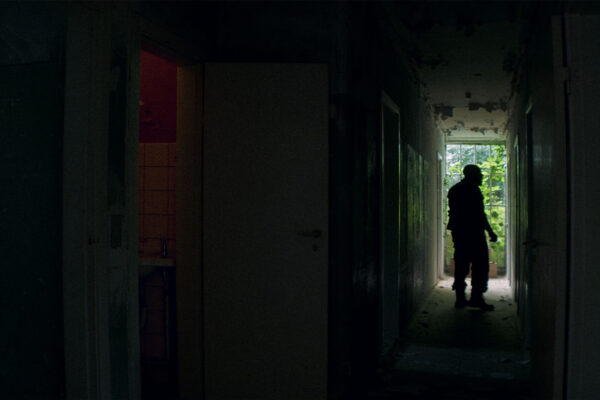 VANAh-the-firm---house